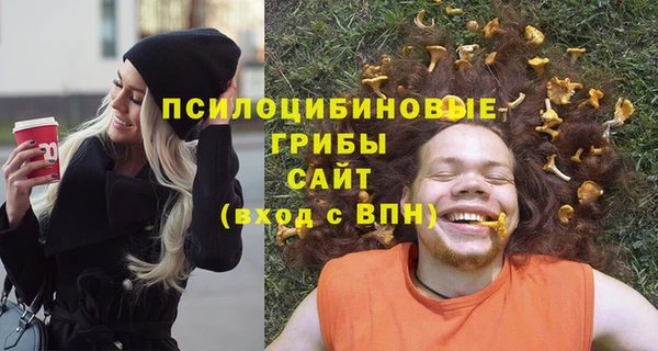 соль ск Арсеньев